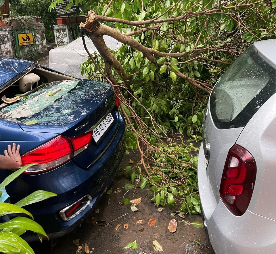 Why Delhi’s Weather Forecast Trended Today,